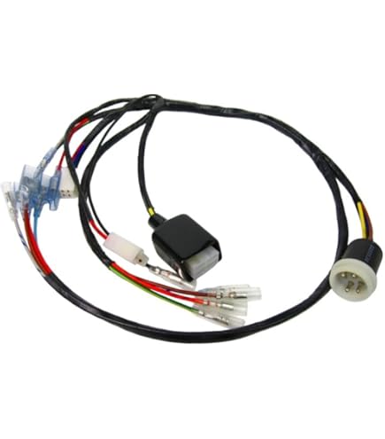 Ape115様 ジャンク    AB27  12V マニュアル Ape115様 ジャンク AB27 12V マニュアル Amazon.co.jp: ホンダ